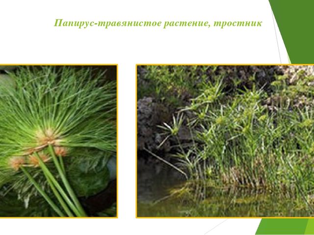 Путешествие в историю книги