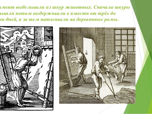 Путешествие в историю книги