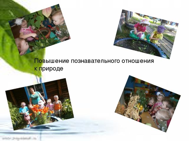 Педагогический опыт работы по экологическому воспитанию детей " Я хочу дружить с природой"