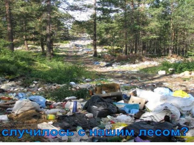 Презентация "День экологии" для дошкольников.