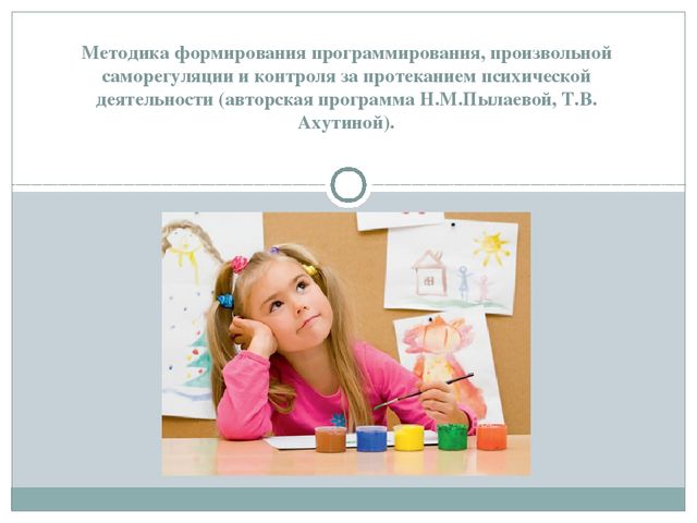 Методика формирования программирования, произвольной саморегуляции и контроля за протеканием психической деятельности (авторская программа Н.М.Пылаевой, Т.В. Ахутиной).