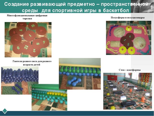 Создание развивающей предметно- пространственной среды для игр с элементами спорта в образовательной деятельности по физическому развитию