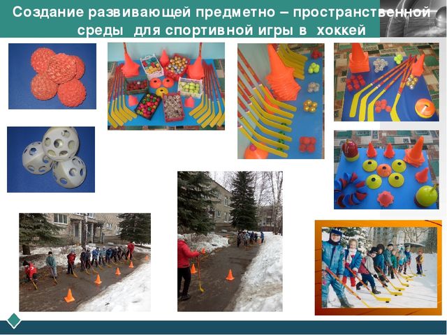 Создание развивающей предметно- пространственной среды для игр с элементами спорта в образовательной деятельности по физическому развитию