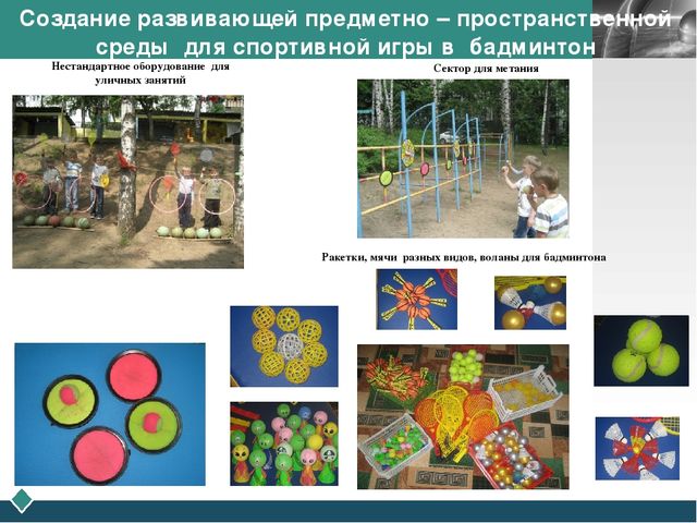 Создание развивающей предметно- пространственной среды для игр с элементами спорта в образовательной деятельности по физическому развитию