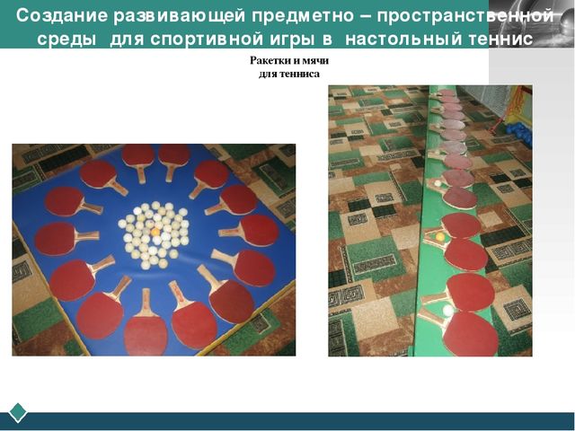 Создание развивающей предметно- пространственной среды для игр с элементами спорта в образовательной деятельности по физическому развитию