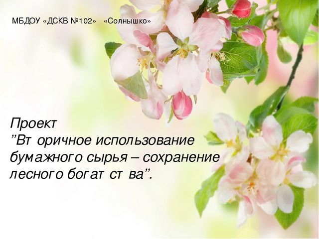 Презентация Проект ’’Вторичное использование бумажного сырья – сохранение лесного богатства’’.
