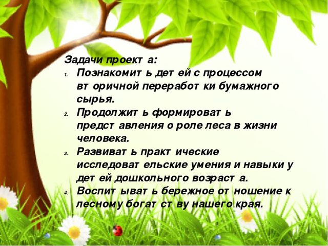 Презентация Проект ’’Вторичное использование бумажного сырья – сохранение лесного богатства’’.