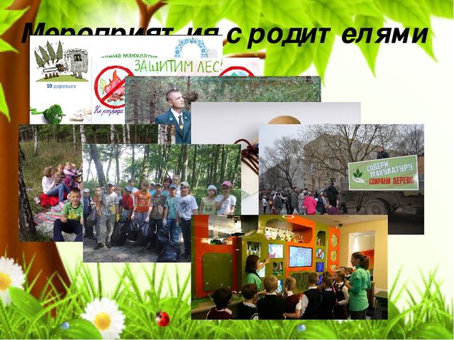 Презентация Проект ’’Вторичное использование бумажного сырья – сохранение лесного богатства’’.