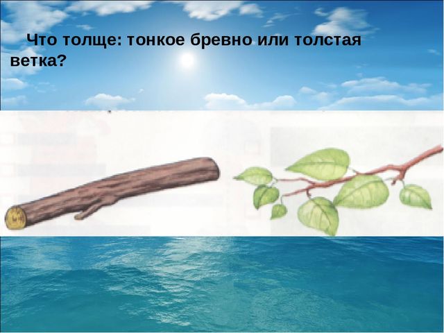 Путешествие на остров Царицы Математики.
