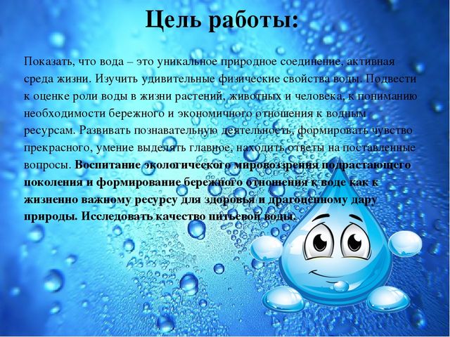 Презентация Семейный экологический проект