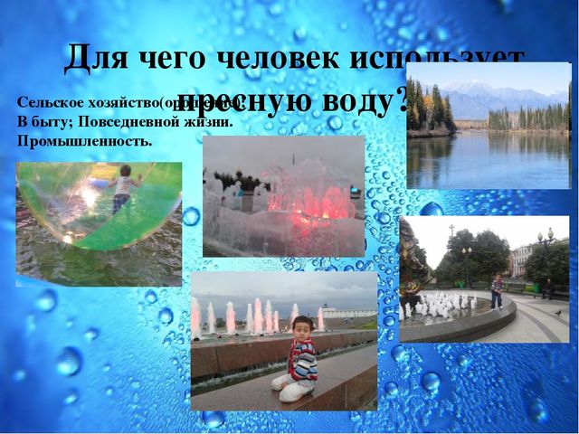 Презентация Семейный экологический проект