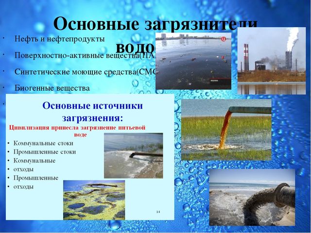 Презентация Семейный экологический проект