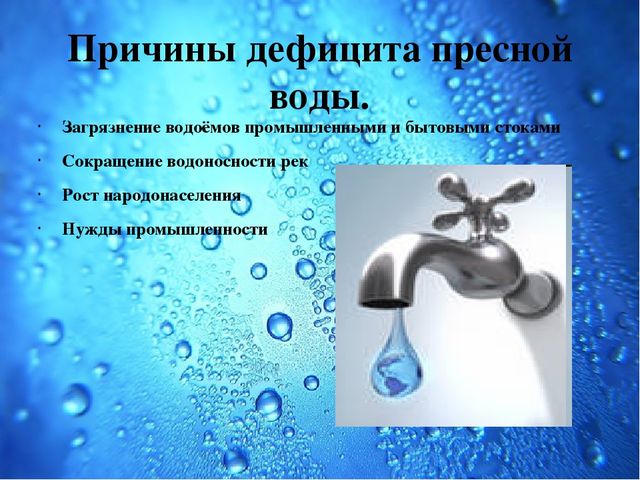 Презентация Семейный экологический проект