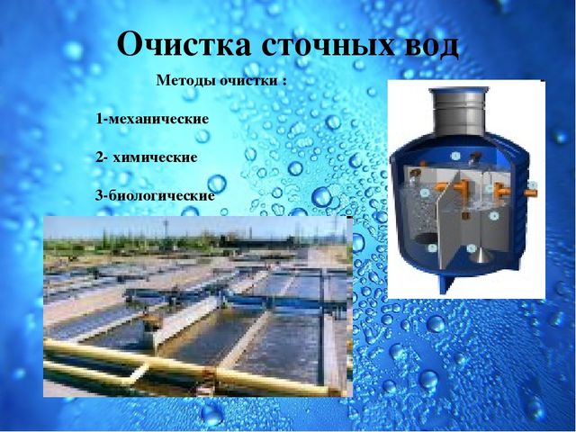 Презентация Семейный экологический проект