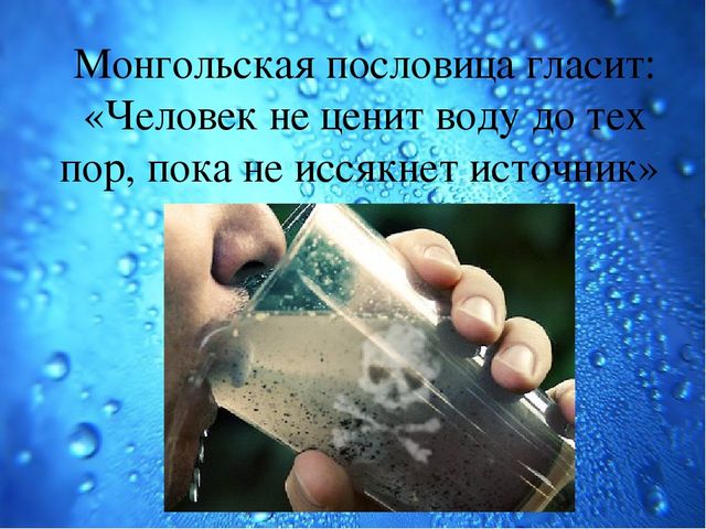 Презентация Семейный экологический проект