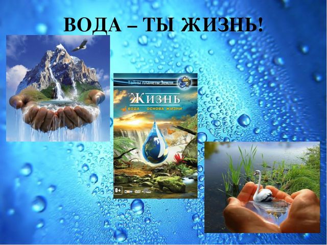 Презентация Семейный экологический проект