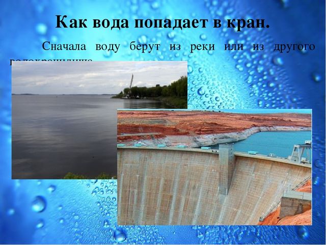 Презентация Семейный экологический проект