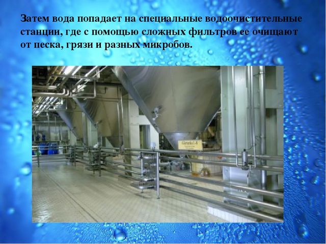 Презентация Семейный экологический проект