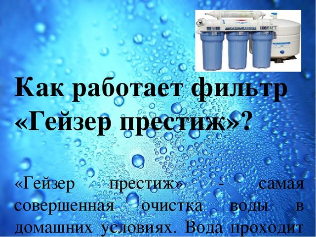 Презентация Семейный экологический проект