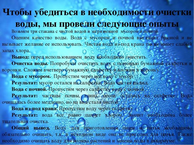 Презентация Семейный экологический проект