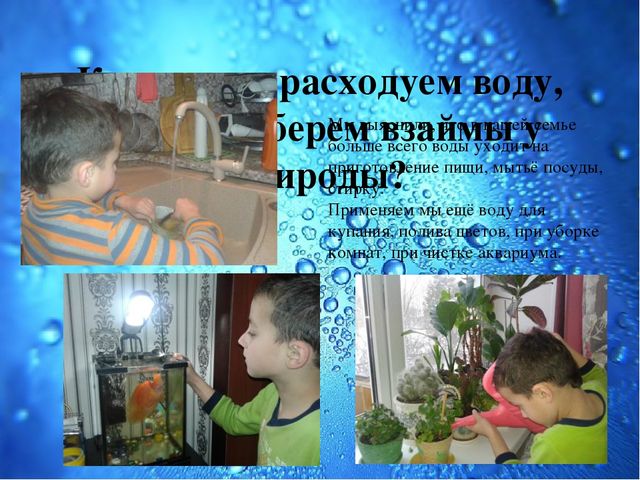 Презентация Семейный экологический проект