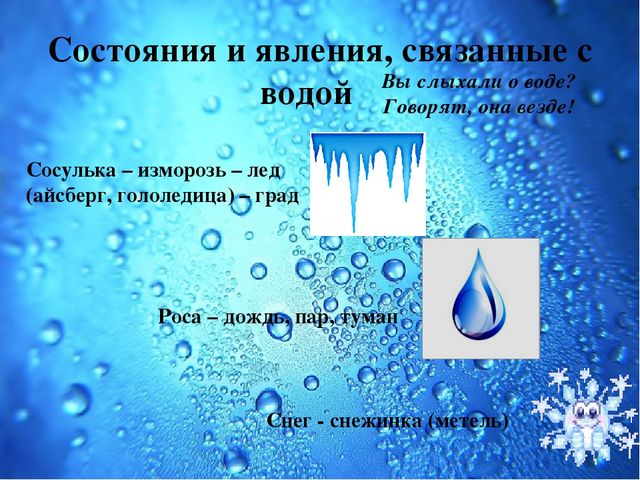 Презентация Семейный экологический проект