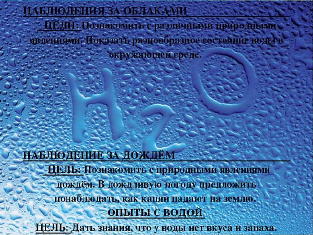 Презентация Семейный экологический проект