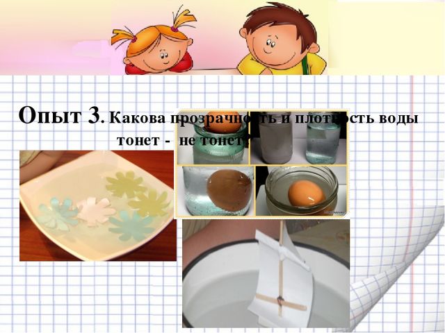 Презентация Семейный экологический проект
