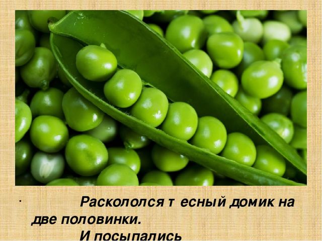 Презентация для старшей группы "Овощи"
