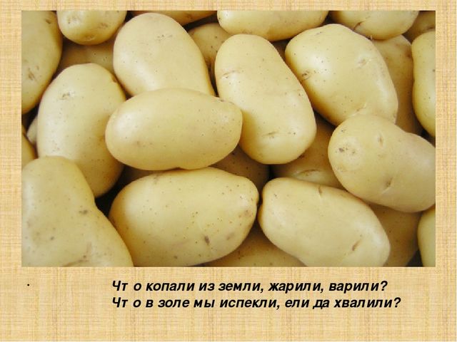 Презентация для старшей группы "Овощи"