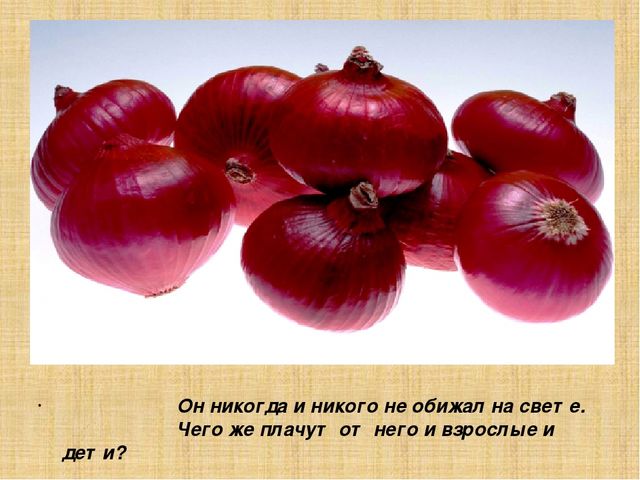 Презентация для старшей группы "Овощи"