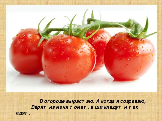 Презентация для старшей группы "Овощи"