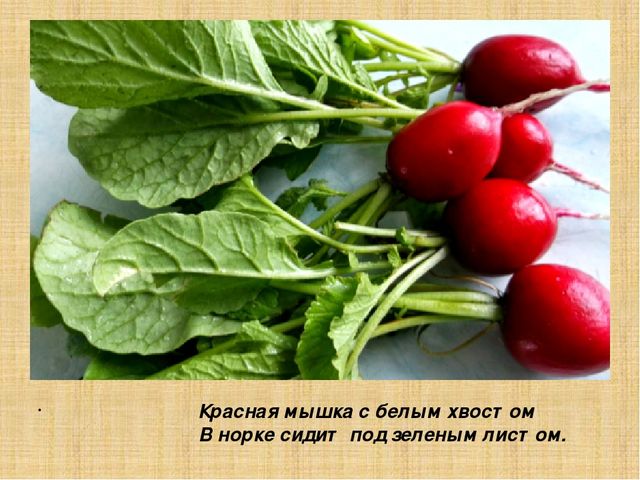 Презентация для старшей группы "Овощи"