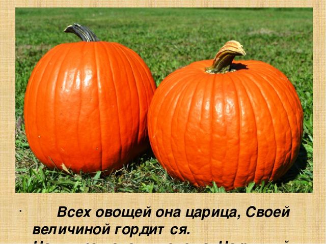 Презентация для старшей группы "Овощи"