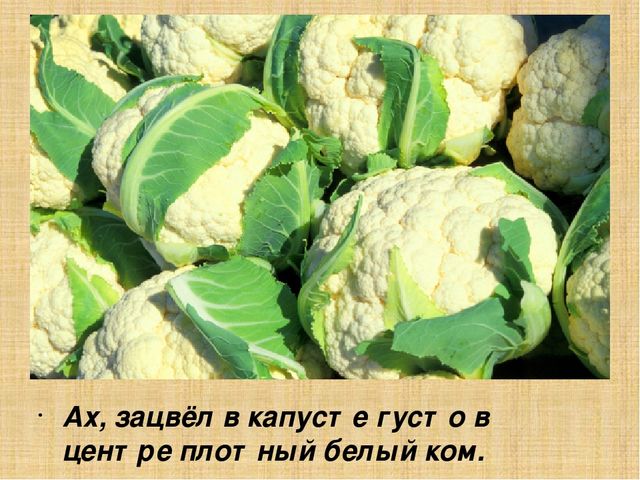 Презентация для старшей группы "Овощи"