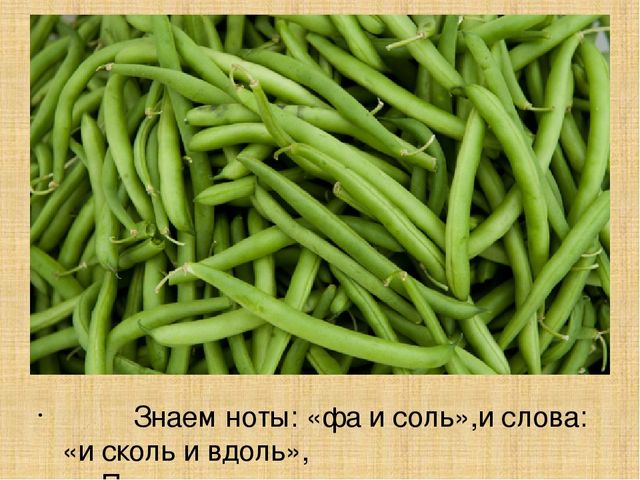 Презентация для старшей группы "Овощи"