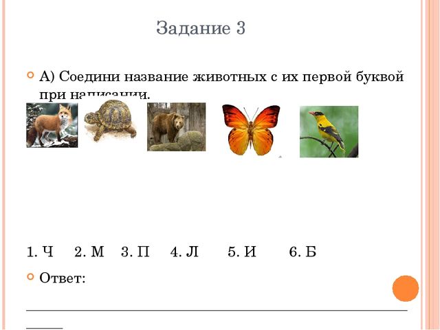 Презентация Дошкольное образование "Метапредметная олимпиада
