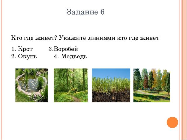 Презентация Дошкольное образование "Метапредметная олимпиада