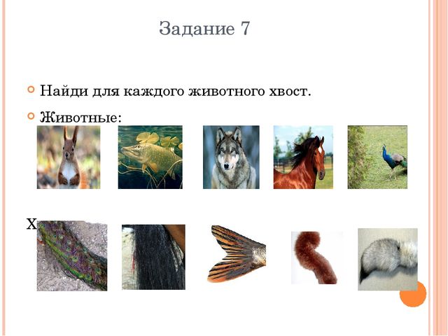Презентация Дошкольное образование "Метапредметная олимпиада