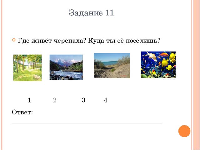 Презентация Дошкольное образование "Метапредметная олимпиада