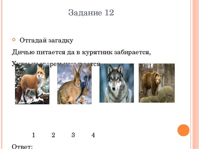 Презентация Дошкольное образование "Метапредметная олимпиада