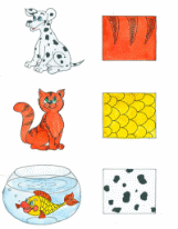 Shape4