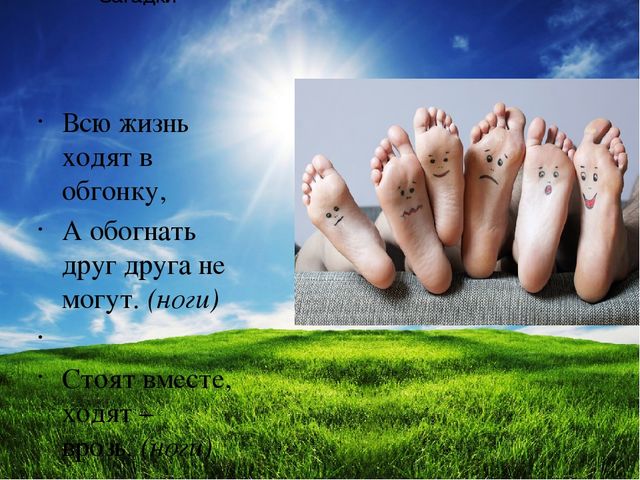 Презентация по ознакомлению с окружающим "Я и мое тело" подготовительная группа