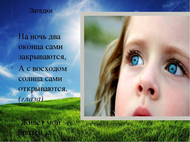 Презентация по ознакомлению с окружающим "Я и мое тело" подготовительная группа