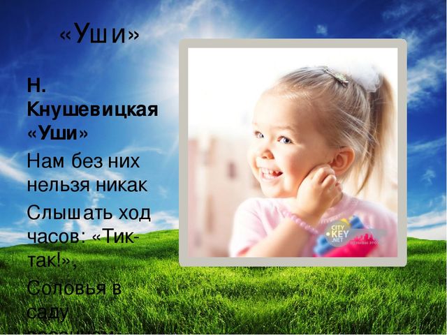 Презентация по ознакомлению с окружающим "Я и мое тело" подготовительная группа