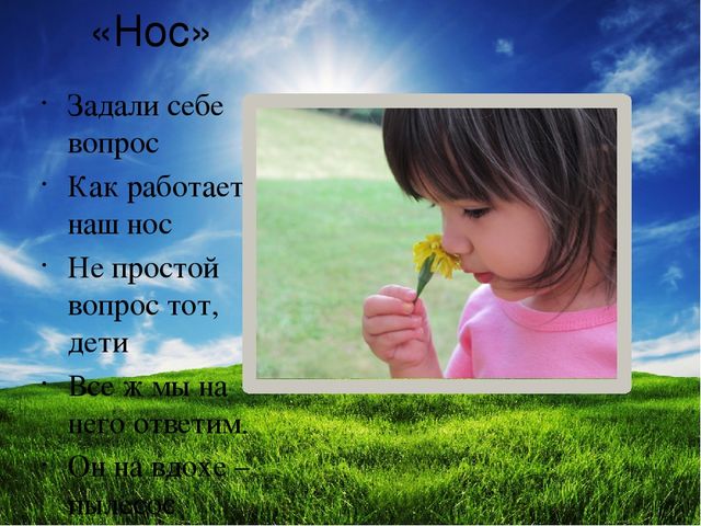 Презентация по ознакомлению с окружающим "Я и мое тело" подготовительная группа