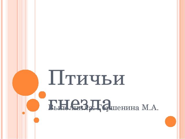 Презентация "Разнообразие птичьих гнезд"