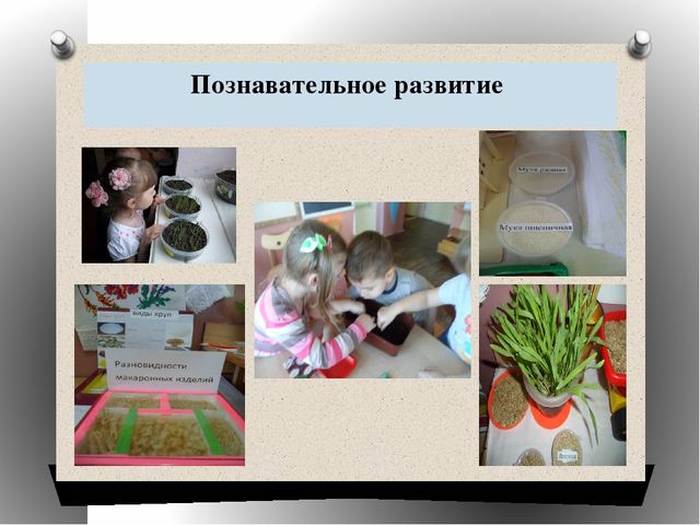 Презентация на тему: "Мини-музей хлеба".
