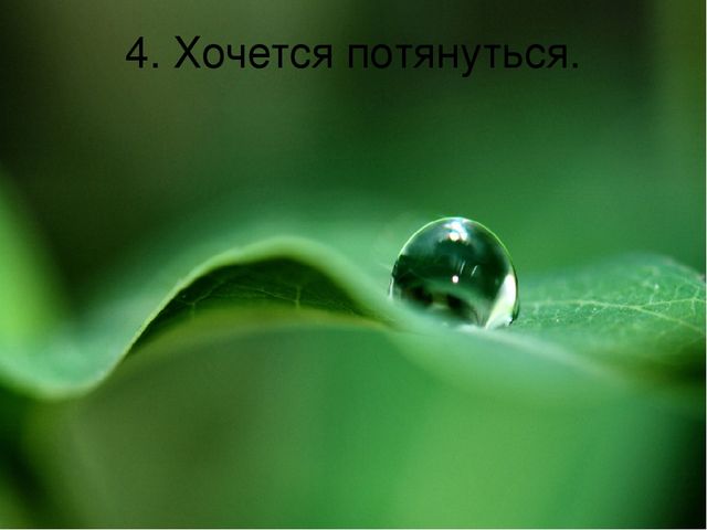 Релаксация для педагогов "Водопад"