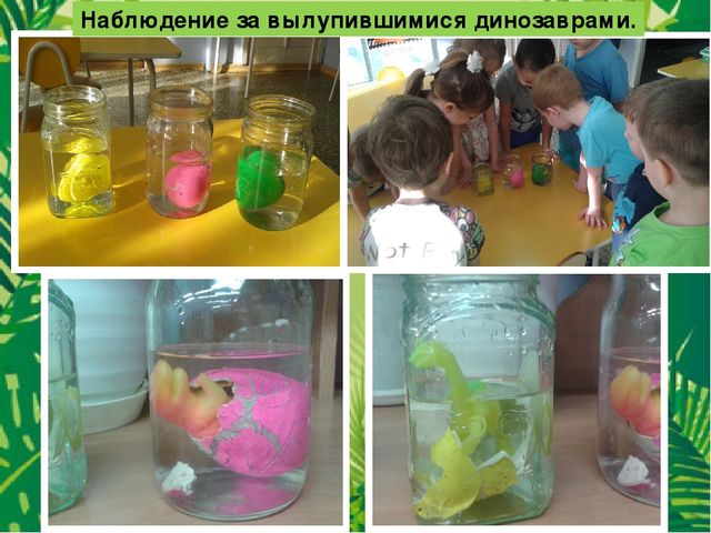 Презентация на тему:"Куда исчезли динозавры?"
